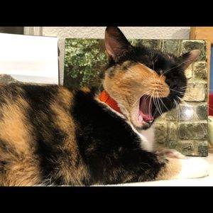 Meet your Posher, Aimee